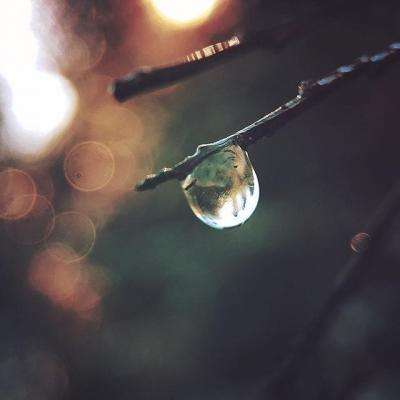 49图库资料免费大全资料澳门app下载