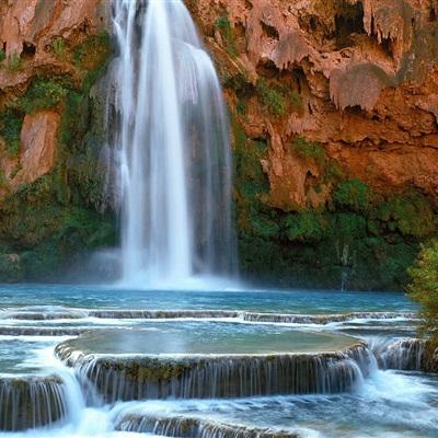 加拿大pc软件平台app下载